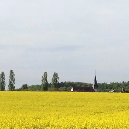 Hofstetters Zeitraume Hardheim